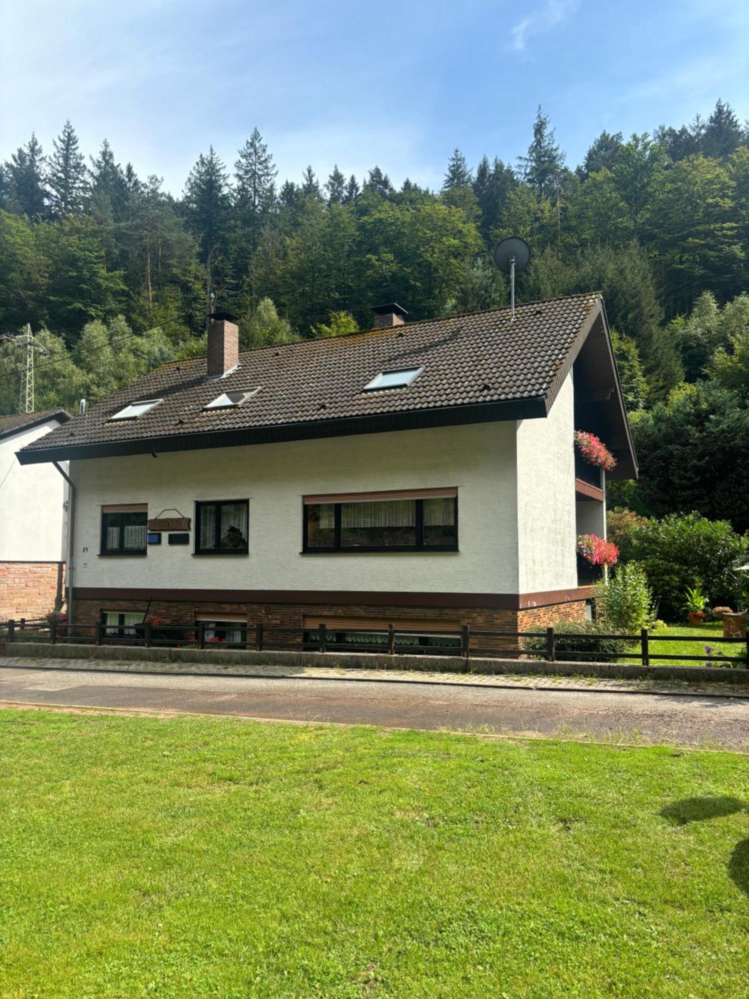 Pension Ernst Im Herzen Des Pfaelzerwaldes Mit Kueche Hotel Elmstein Exterior photo